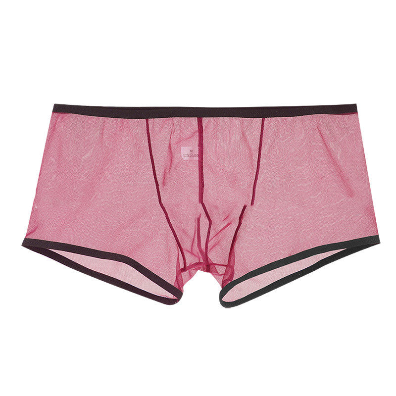 Summer Men's Mesh Low Waist Panties